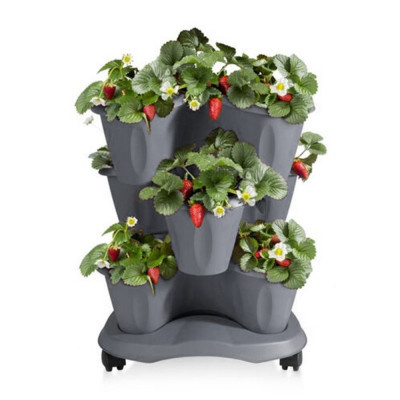 Květinová kaskáda TRIFOGLIO na kolečkách šedá